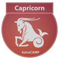capricorn horoscope 2021.