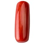 Red Coral gemstone