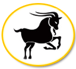 capricorn 2010 horoscope, capricorn horoscope 2010, 2010 horoscope