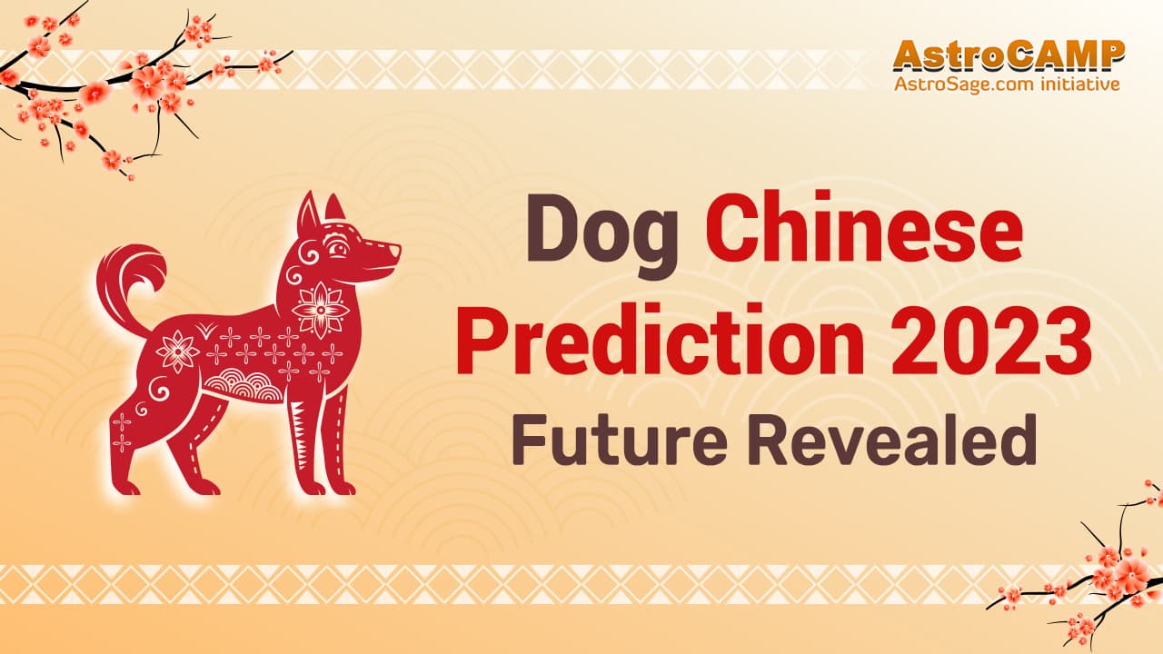Dog Chinese Horoscope 2023 - Chinese Zodiac Dog 2023 Predictions