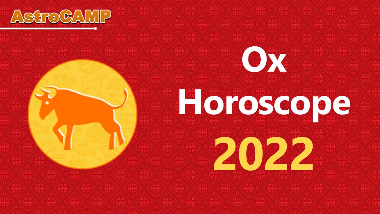 ox chinese horoscope 2022