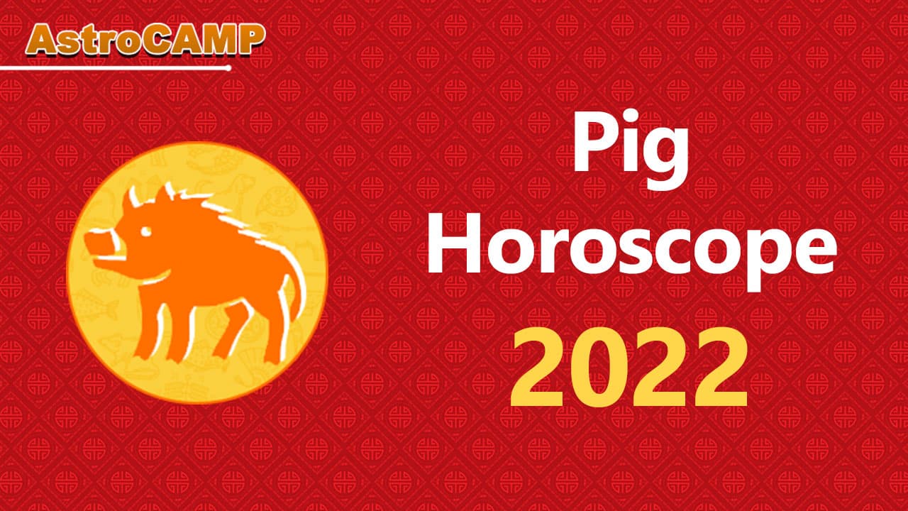pig chinese horoscope 2022