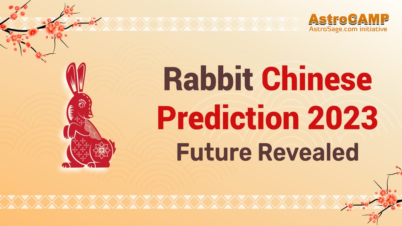 Rabbit Chinese Horoscope 2023