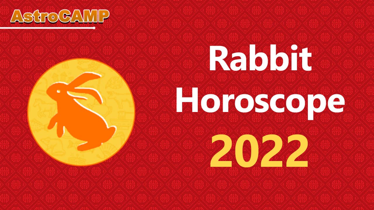 rabbit chinese horoscope 2022