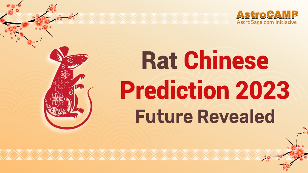 Rat Chinese Horoscope 2023