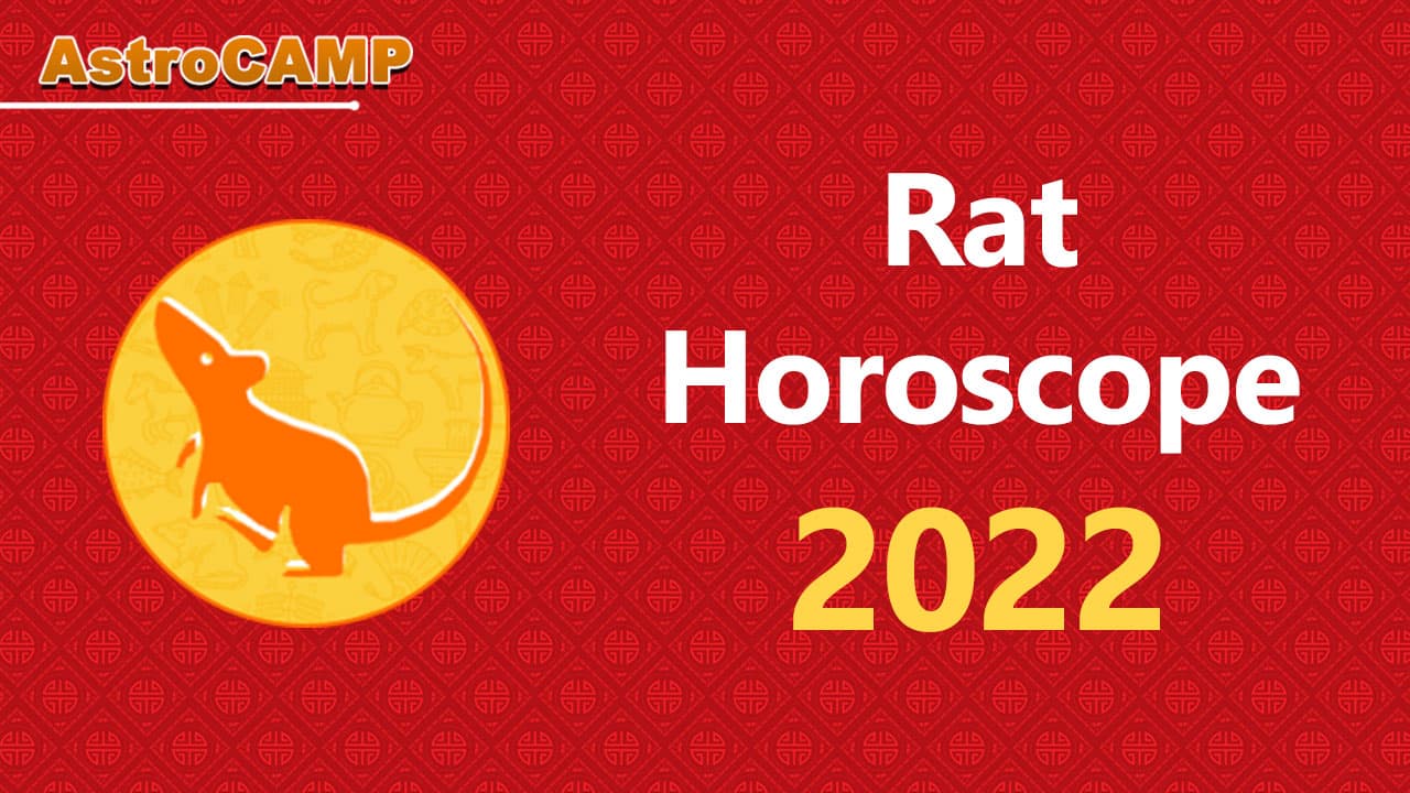 rat chinese horoscope 2022