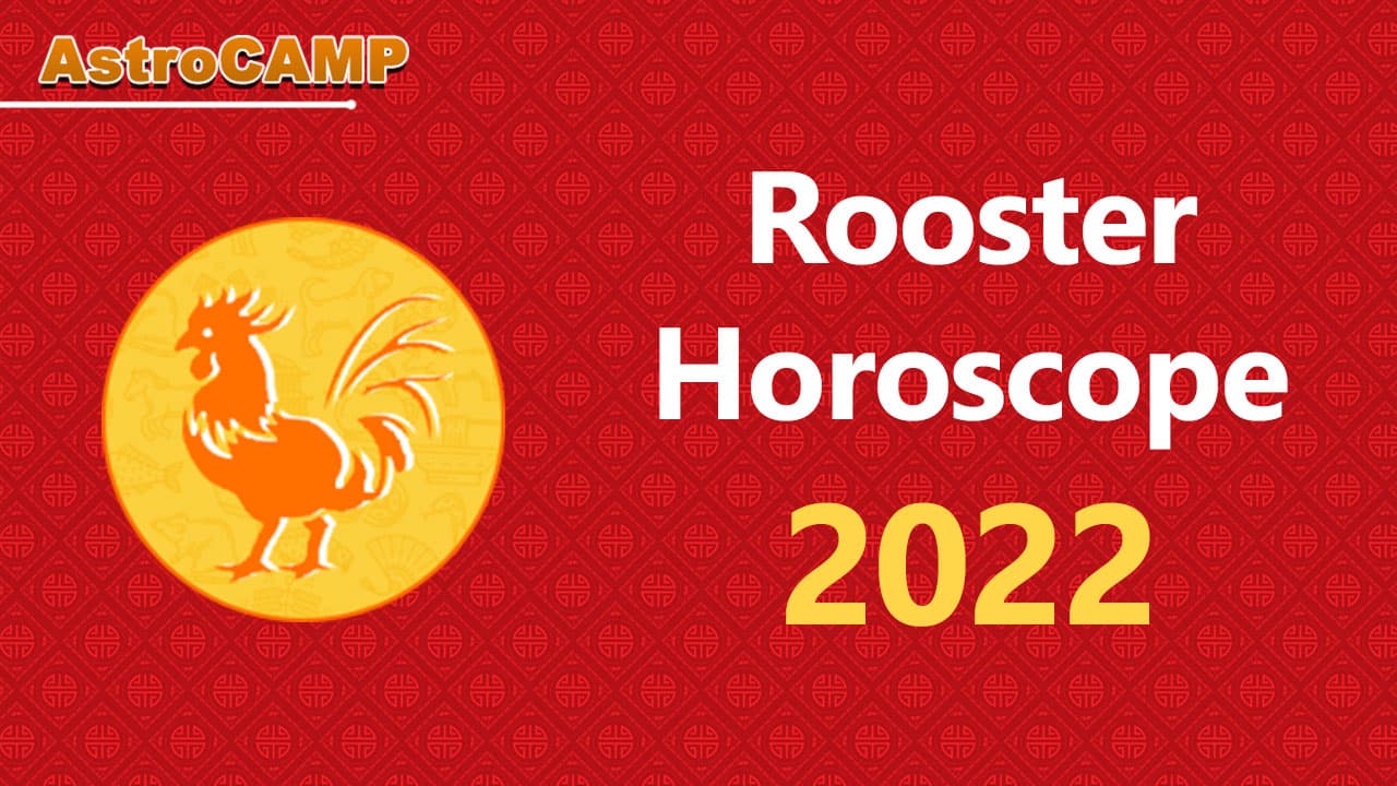 rooster chinese horoscope 2022