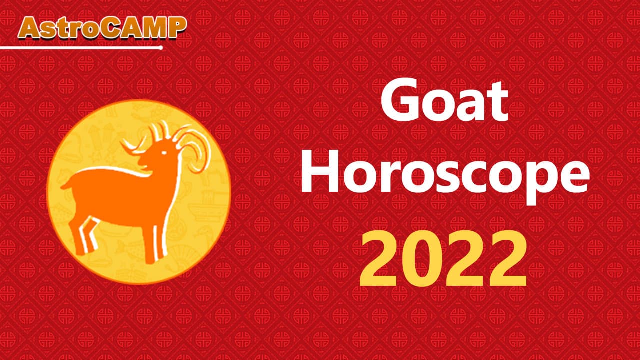 sheep chinese horoscope 2022