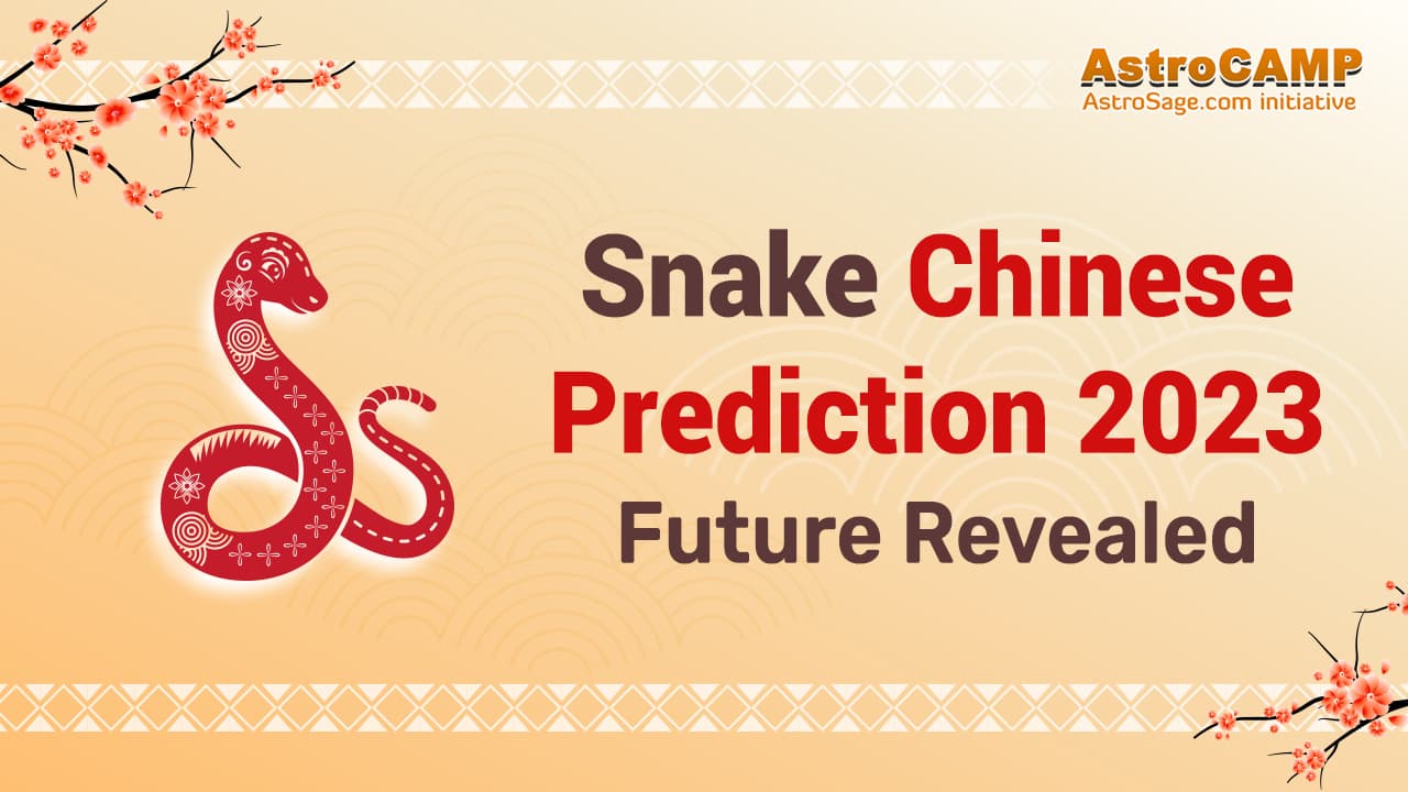 Snake Chinese Horoscope 2023 By AstroCamp