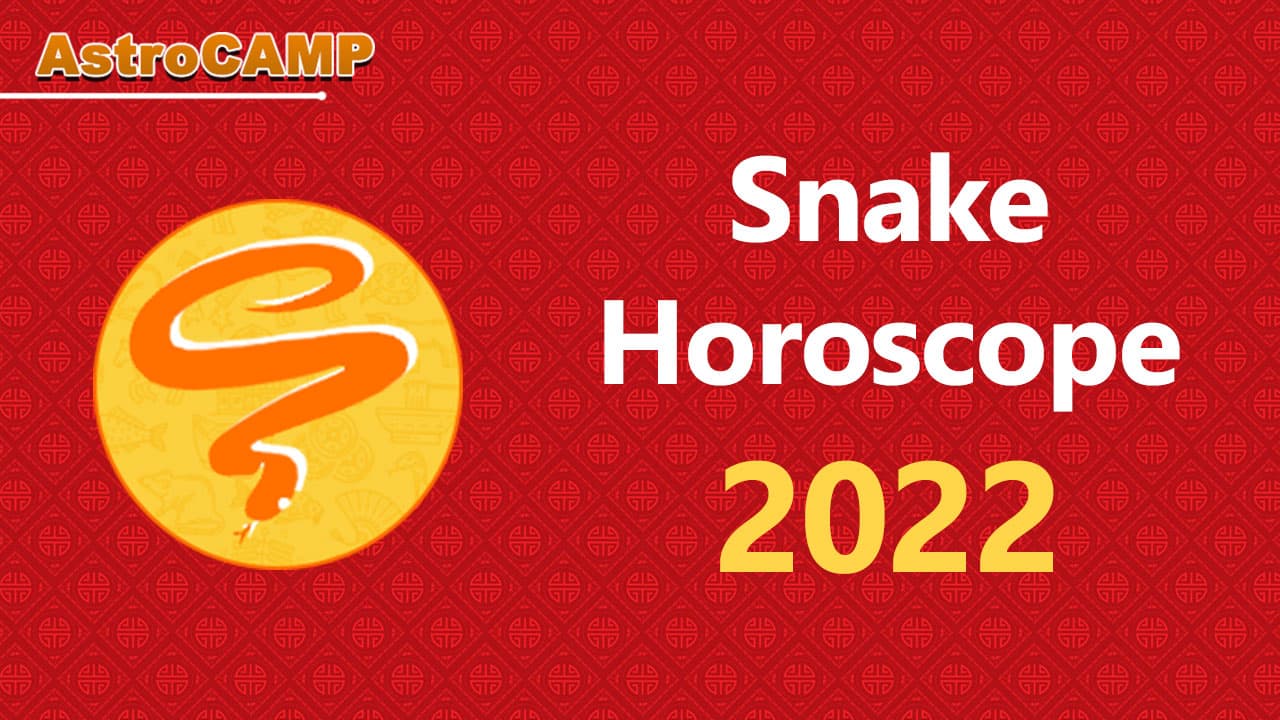 snake chinese horoscope 2022