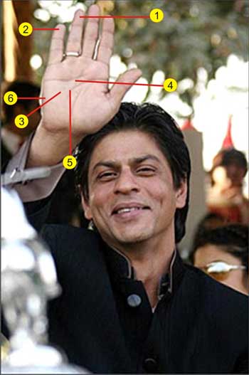 shahrukh khan palm analysis, srk palm reading