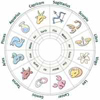 Get 2018 horoscope