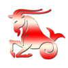 Lal Kitab 2014 Horoscope for Capricorn