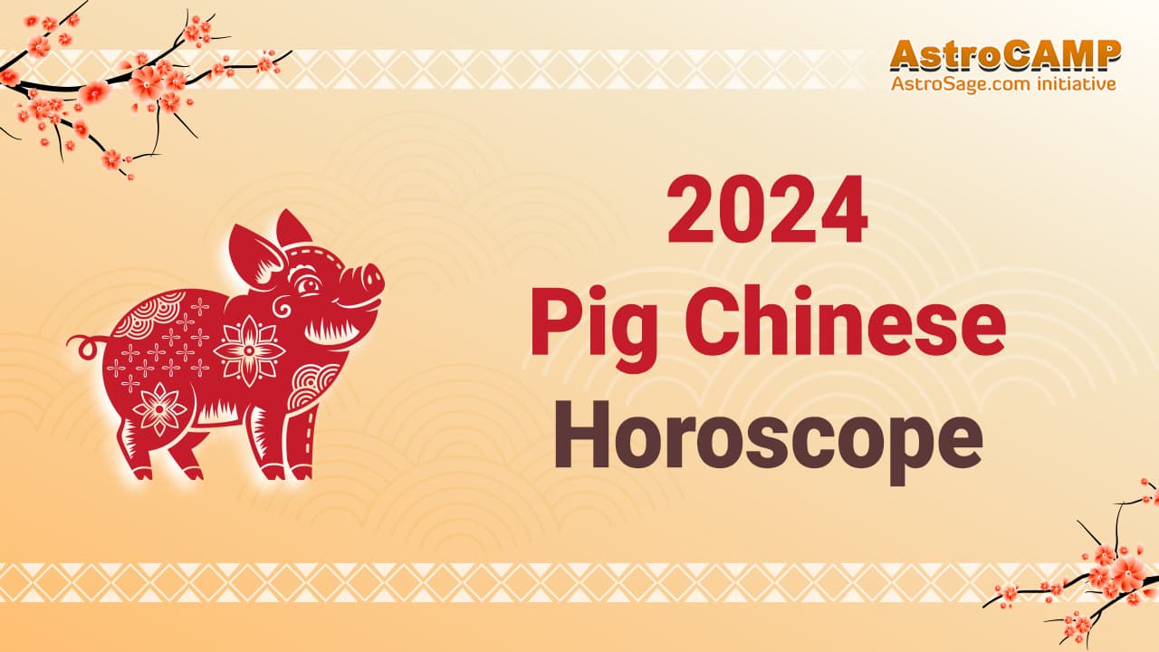 Take A Look At The 2024 Chinese Pig Horoscope