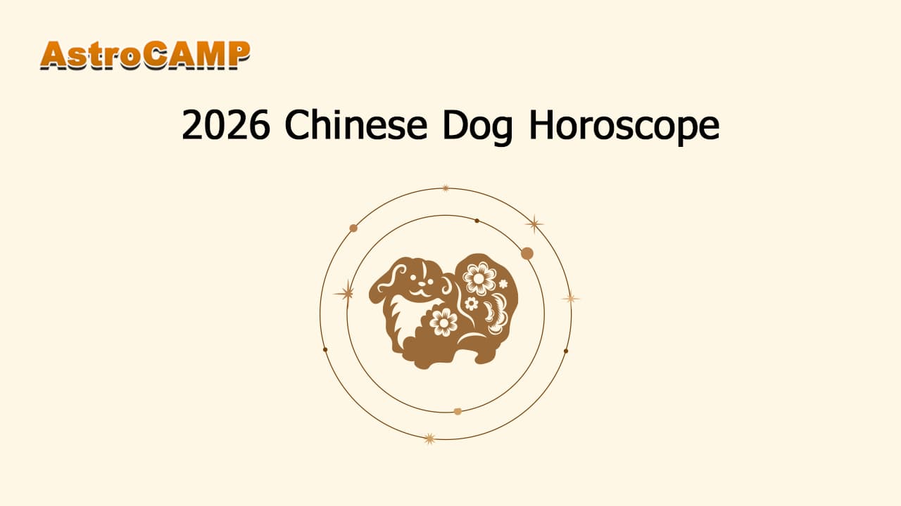 Dog Horoscope