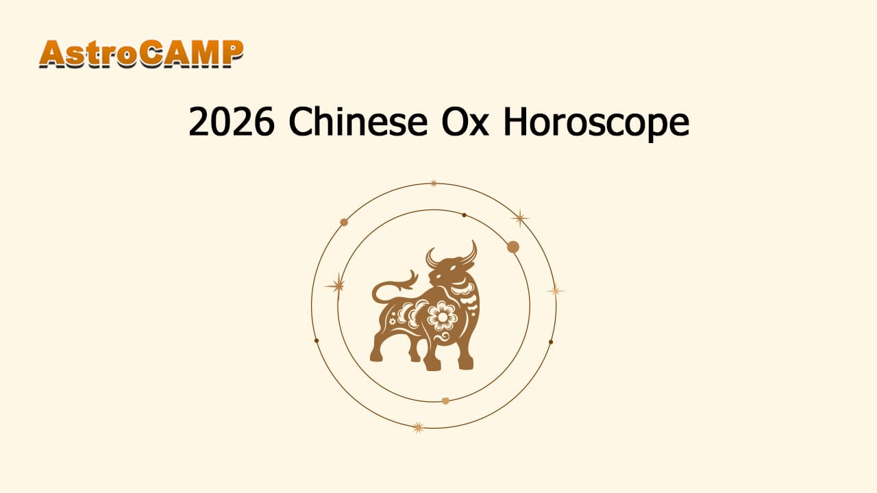 Ox Horoscope