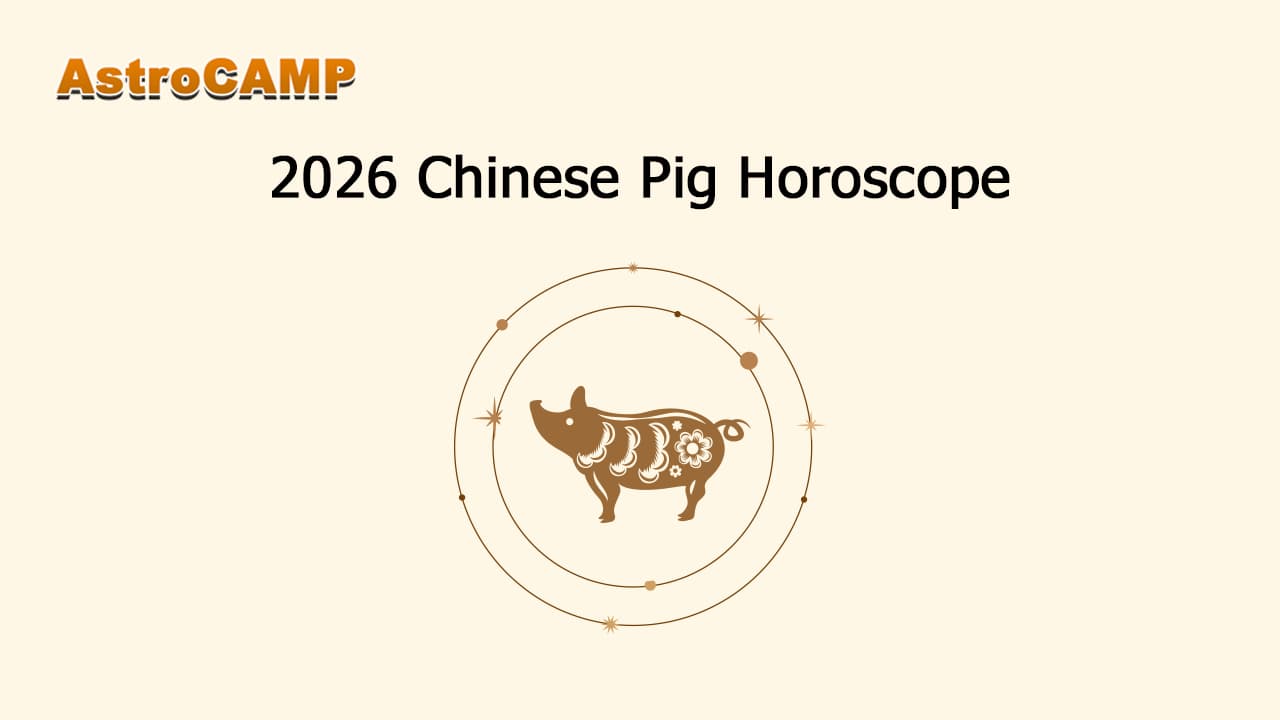 Pig Horoscope