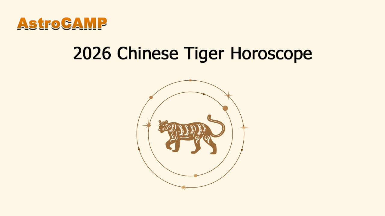 Tiger Horoscope