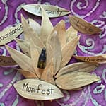 Get Bay Leaf Ritual