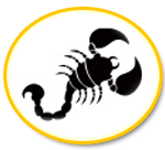 Scorpio Love Horoscope 2013